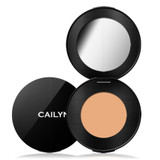 HD Coverage Concealer: Canvas